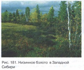 �������� ������ � �������� ������