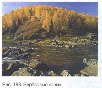 �������� �����