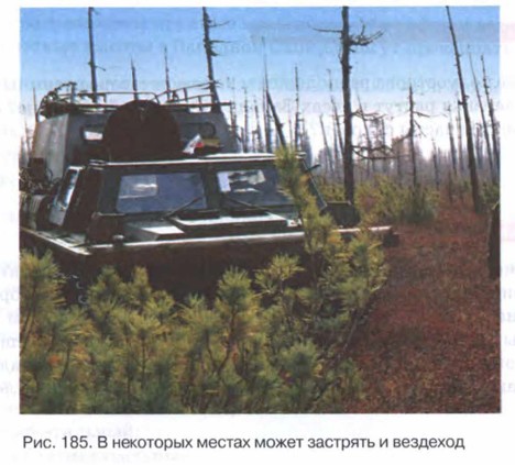 � ��������� ������ ����� �������� � ��������