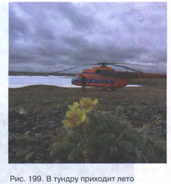 � ������ �������� ����