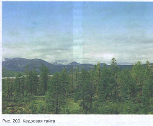 �������� �����