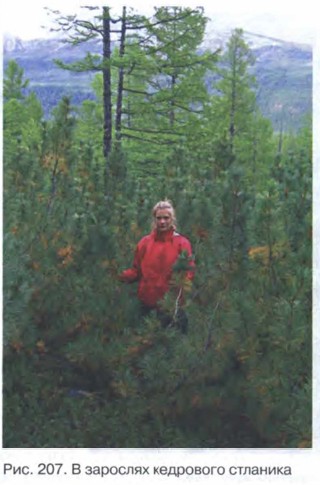 � �������� ��������� ��������