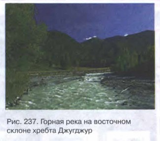 ������ ����