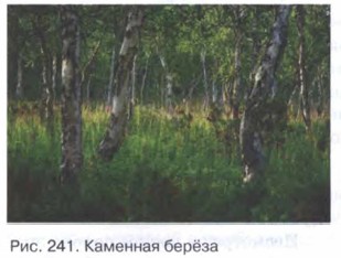 �������� �����