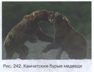 ���������� ����� �������