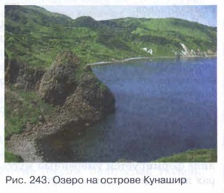 ����� �� ������� �������