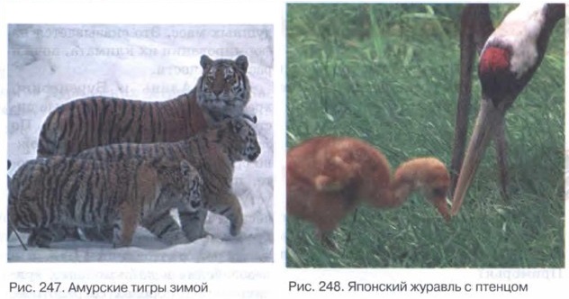 �������� �����