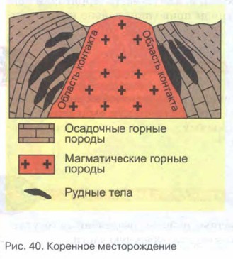 �������� �������������