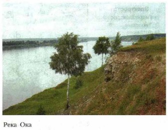 ���� ���