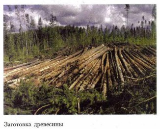 ��������� ���������