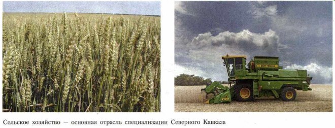 �������� ��������� � �������� ������� ������������� ��������� �������