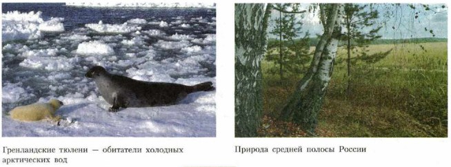 ������������ ������