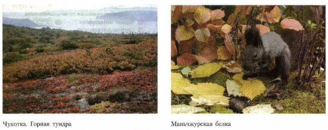 �������. ������ ������