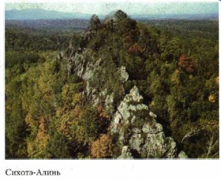 ������-�����