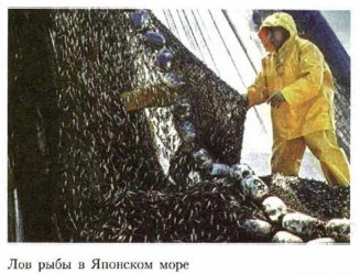 ��� ���� � �������� ����