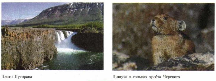 ����� ��������