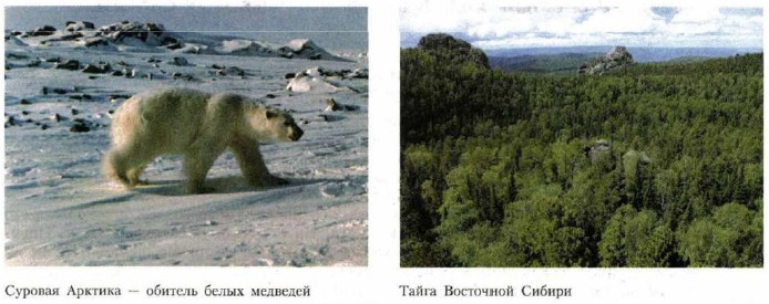 ������� �������