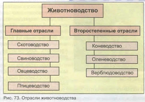 ������� ��������������