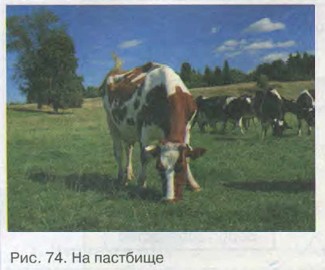 �� ��������