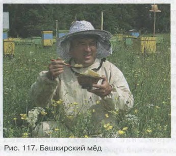 ���������� ��