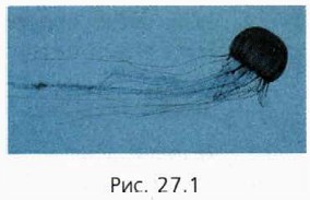 ���. 27.1