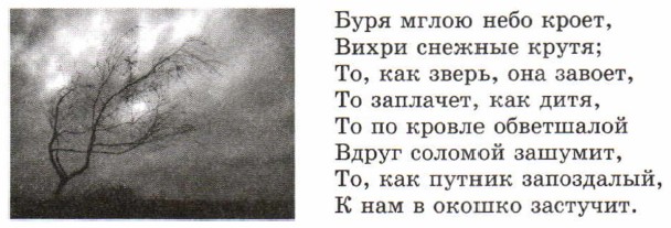 ������ �����