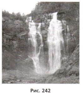 ���. 242