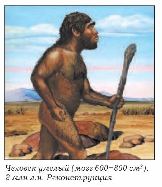 ������� ������