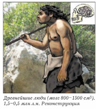 ���������� ����