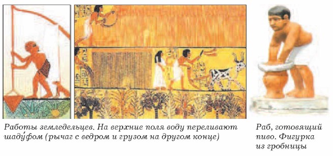 ������ ������������