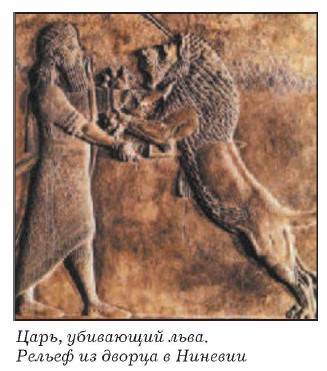 ����, ��������� ����