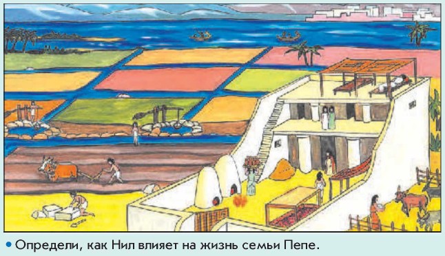 � ���� ����������� �����������