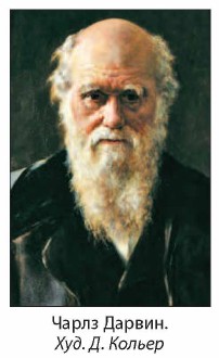 ����� ������.