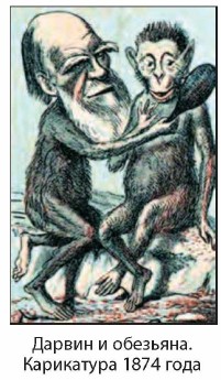 ������ � ��������