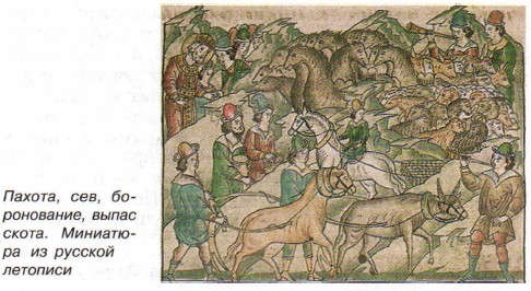 ������, ���, �����������, ����� �����. ��������� �� ������� ��������