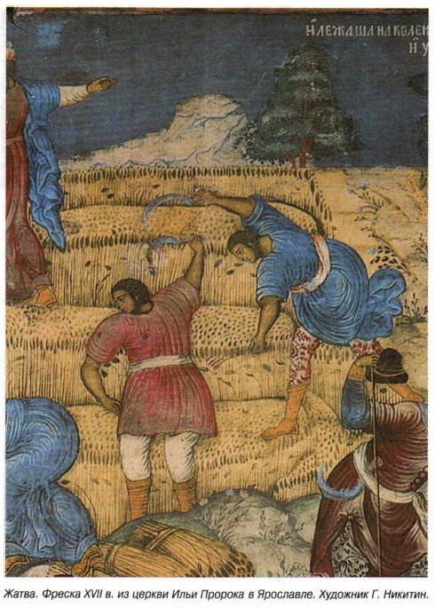 �����. ������ XVII �. �� ������ ���� ������� � ���������. �������� �. �������.