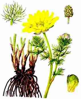 ������ ��������, �������� ��������, �������� �����, ������ �����, ����������, ����������, ���������, ���������, ��������.