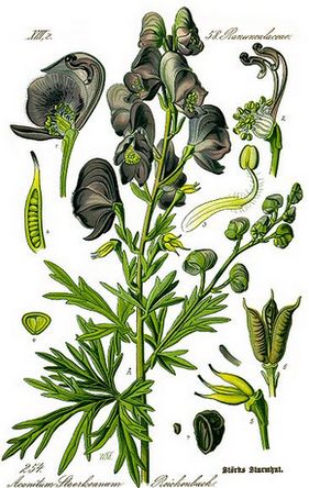 �������� ��������: ������ ���������, �����.