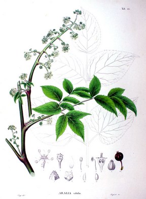 �������� ��������: ������ ������, ������ ������������.