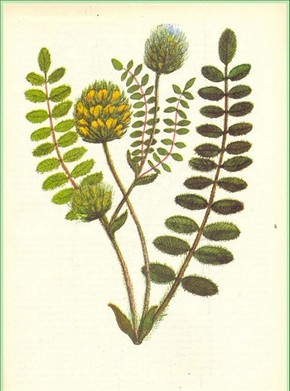 �������� ��������: �������� ������������������, ������� ��������, ������� �����, ��������������.