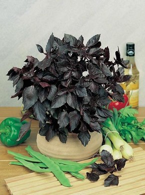 �������� ��������: ������� ��������.