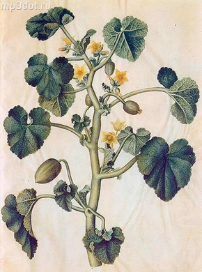 �������� ��������: ������� ������ ������������, �������������, ������� ����, ������� �����, ��������� ������, ���������� �����.