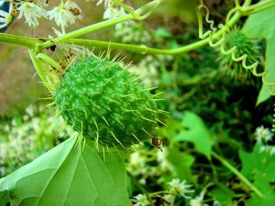 �������� ��������: ������� ������ ������������, �������������, ������� ����, ������� �����, ��������� ������, ���������� �����.