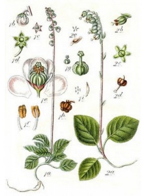 �������� ��������: ������� ���������, ������� ���������, ��������� �������, ����������, ���������, ������� �����, ���������, ���������, ������ �����, ������ ����, ���������, ������ ������, ����������.