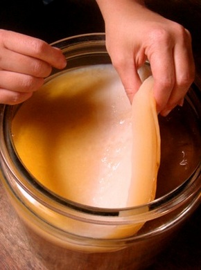 �������� ��������: ������ ����, ������ ����, ������� ����, �������� ����.