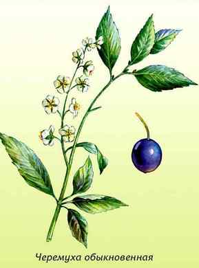 �������� ��������: �������� ������������, ���������, �������, ����������, ���������.