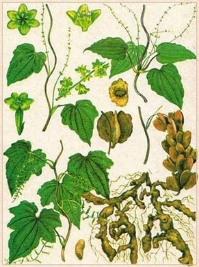 ��������� ����������.