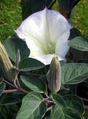 �������� ��������: ������ ������������, ���������, ������ ������, �����, ��������, �������, ��������, ����� �����.