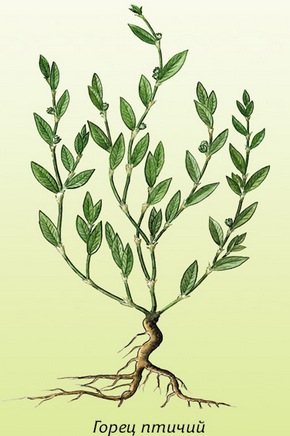 �������� ��������: ����� ������, ������,������ �������, ������-�����, ���������, �����-������, ������.