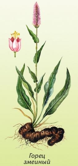 �������� ��������: ����� �������, ������� �����, ������, �������.